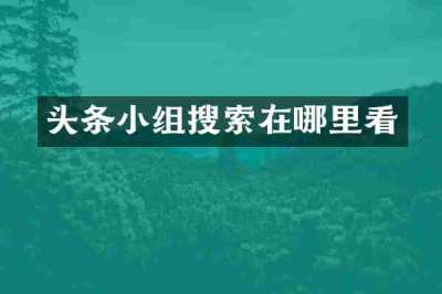 头条小组搜索在哪里看