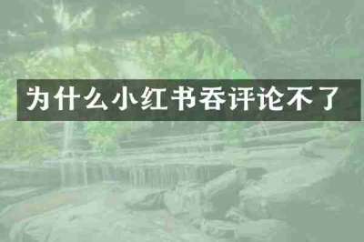 为什么小红书吞评论不了