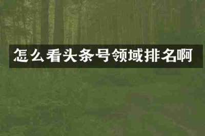 怎么看头条号领域排名啊