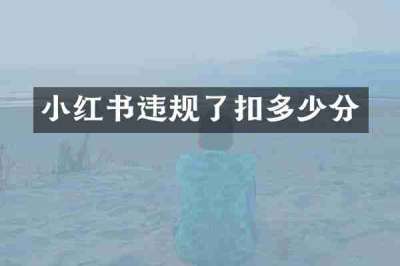 小红书违规了扣多少分