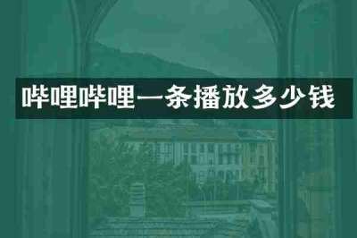 哔哩哔哩一条播放多少钱