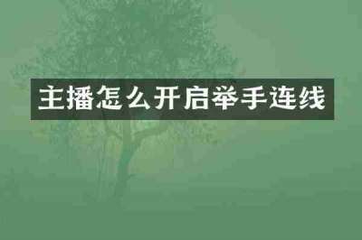 主播怎么开启举手连线