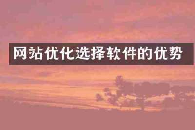 网站优化选择软件的优势