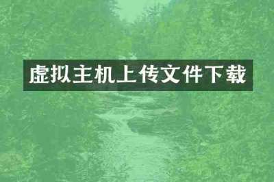 虚拟主机上传文件下载
