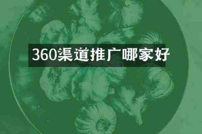 360渠道推广哪家好