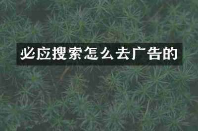 必应搜索怎么去广告的