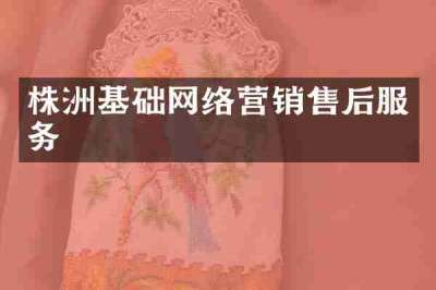 株洲基础网络营销售后服务