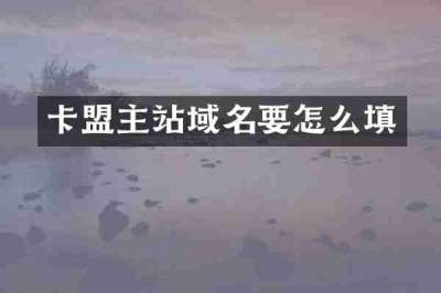 卡盟主站域名要怎么填