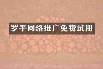 罗平网络推广免费试用