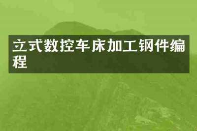 立式数控车床加工钢件编程