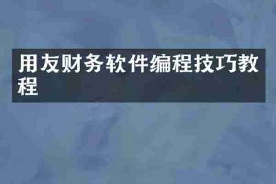 用友财务软件编程技巧教程