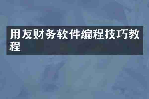 用友财务软件编程技巧教程