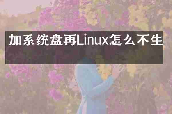 加系统盘再Linux怎么不生效
