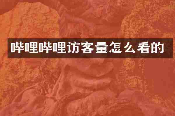 哔哩哔哩访客量怎么看的