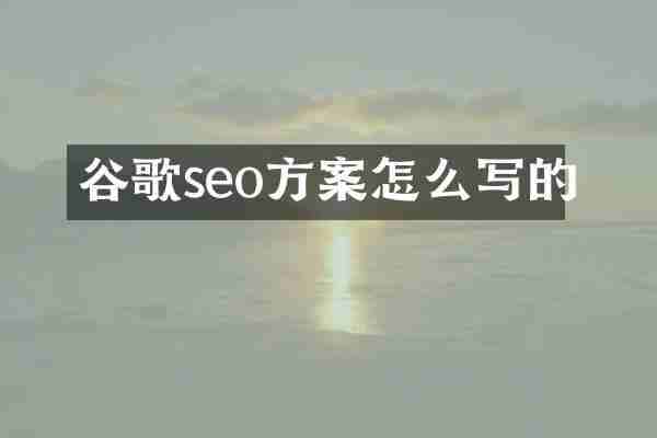 谷歌seo方案怎么写的