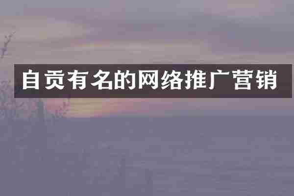 自贡有名的网络推广营销