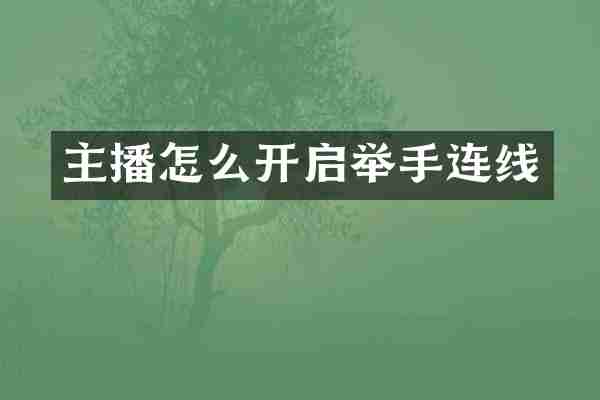 主播怎么开启举手连线