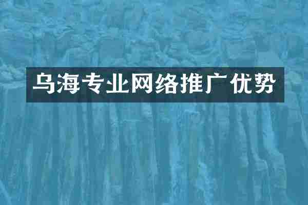 乌海专业网络推广优势