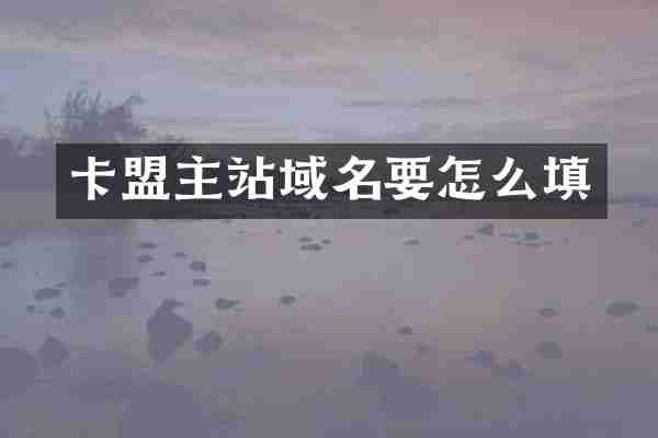 卡盟主站域名要怎么填