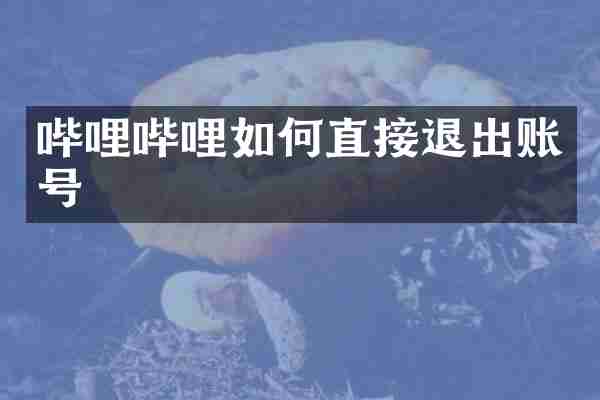 哔哩哔哩如何直接退出账号
