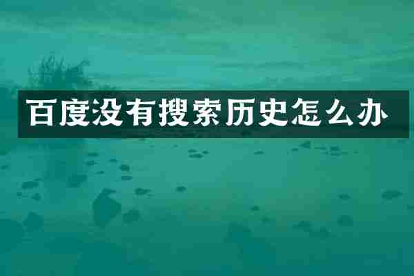 百度没有搜索历史怎么办