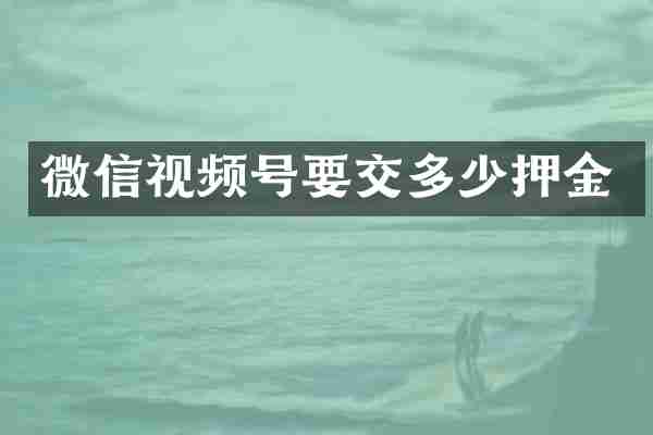 微信视频号要交多少押金