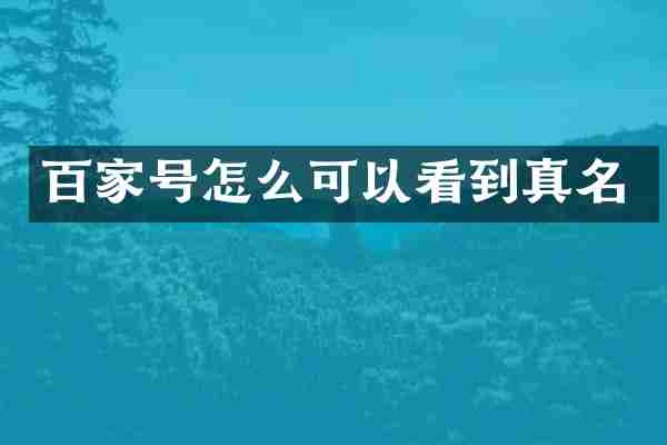 百家号怎么可以看到真名