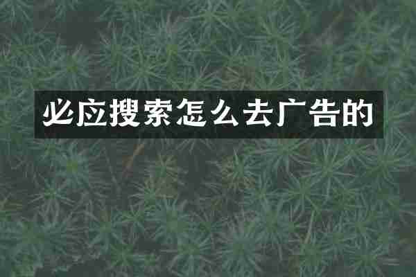 必应搜索怎么去广告的