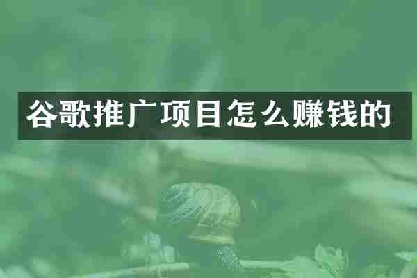 谷歌推广项目怎么赚钱的