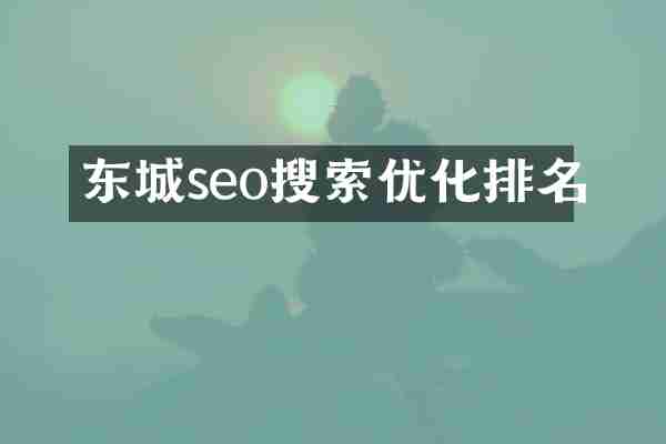 东城seo搜索优化排名
