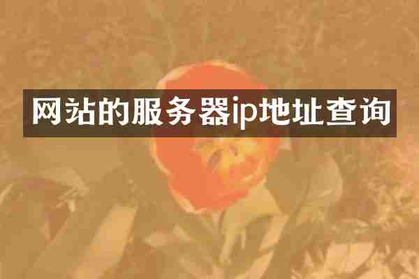 网站的服务器ip地址查询