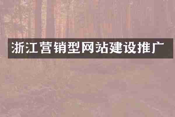 浙江营销型网站建设推广