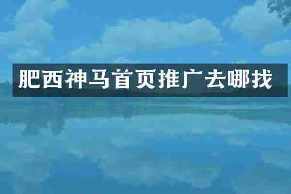 肥西神马首页推广去哪找