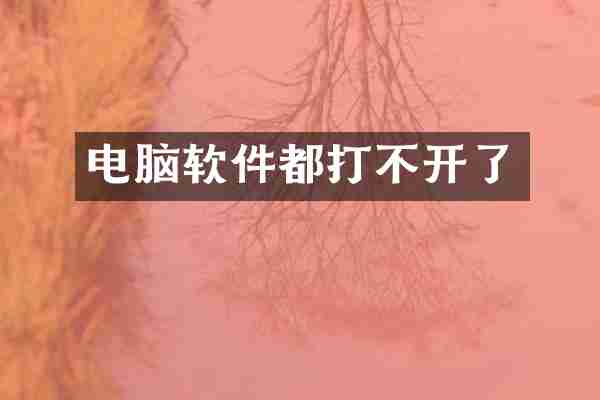 电脑软件都打不开了