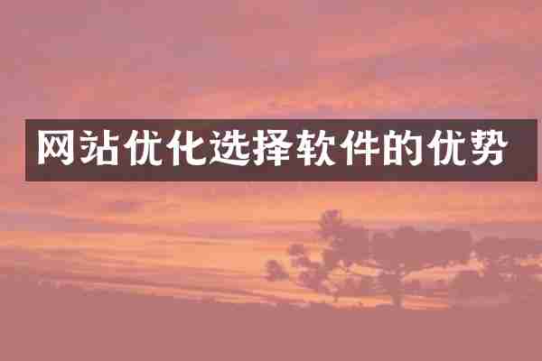 网站优化选择软件的优势