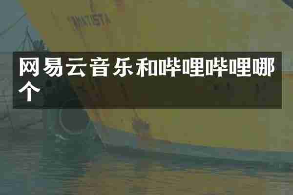 网易云音乐和哔哩哔哩哪个