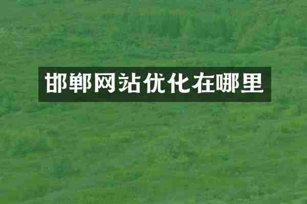 邯郸网站优化在哪里