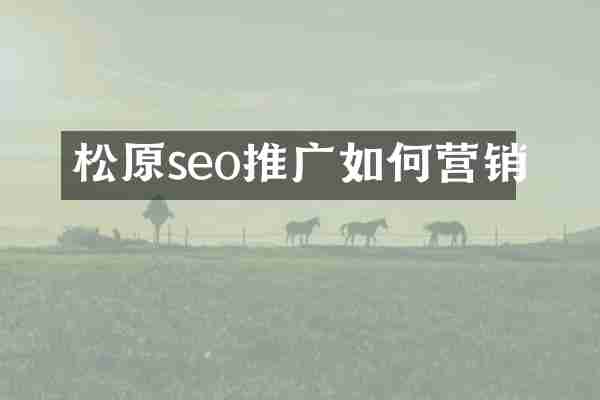 松原seo推广如何营销