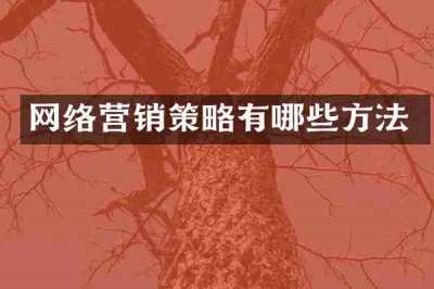 网络营销策略有哪些方法