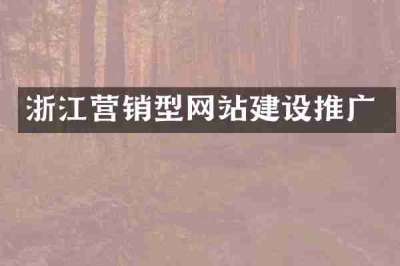 浙江营销型网站建设推广