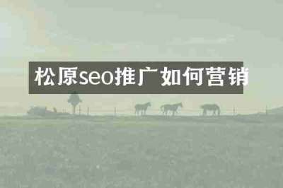 松原seo推广如何营销
