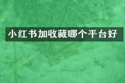 小红书加收藏哪个平台好