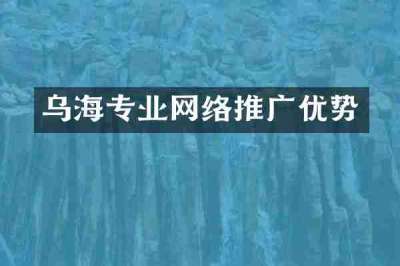 乌海专业网络推广优势