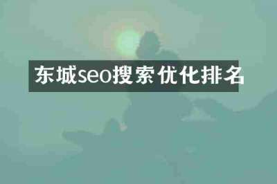 东城seo搜索优化排名