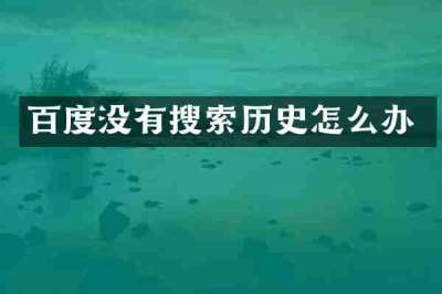 百度没有搜索历史怎么办
