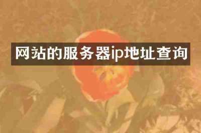 网站的服务器ip地址查询