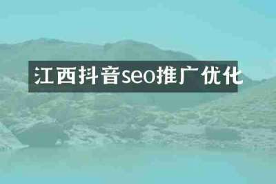 江西抖音seo推广优化