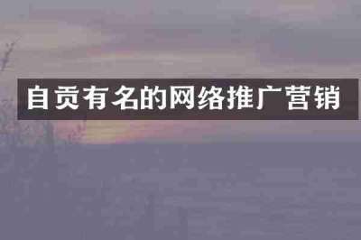 自贡有名的网络推广营销