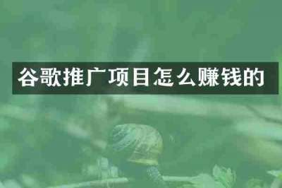 谷歌推广项目怎么赚钱的