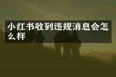 小红书收到违规消息会怎么样